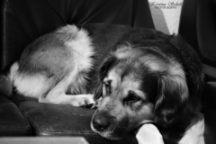 DSC_0170111
