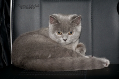 DSC_11300klein